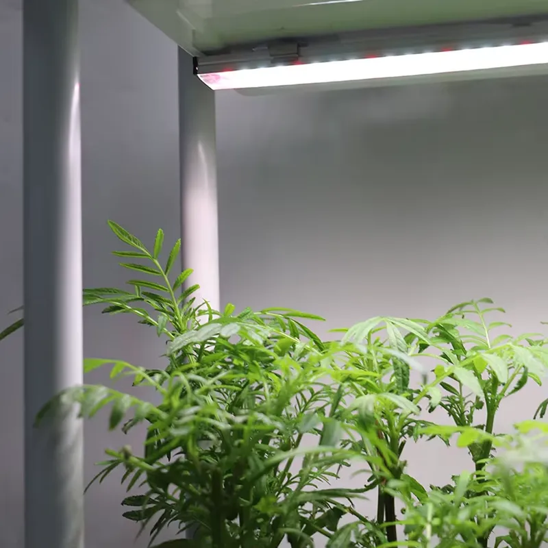 Self-Watering Planter - 移動式垂直型3段自動給水スマートガーデンプランターボックススタンド、室内ハーブ植物栽培システム（ライト付き）