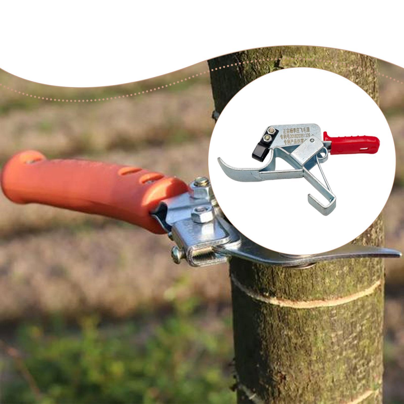 Gardening Tools Essential - 果樹の幹切りツール1個、プロ用ガーデンツール、必須プレミアム、頑丈、実用的、盆栽の幹切り用ツール