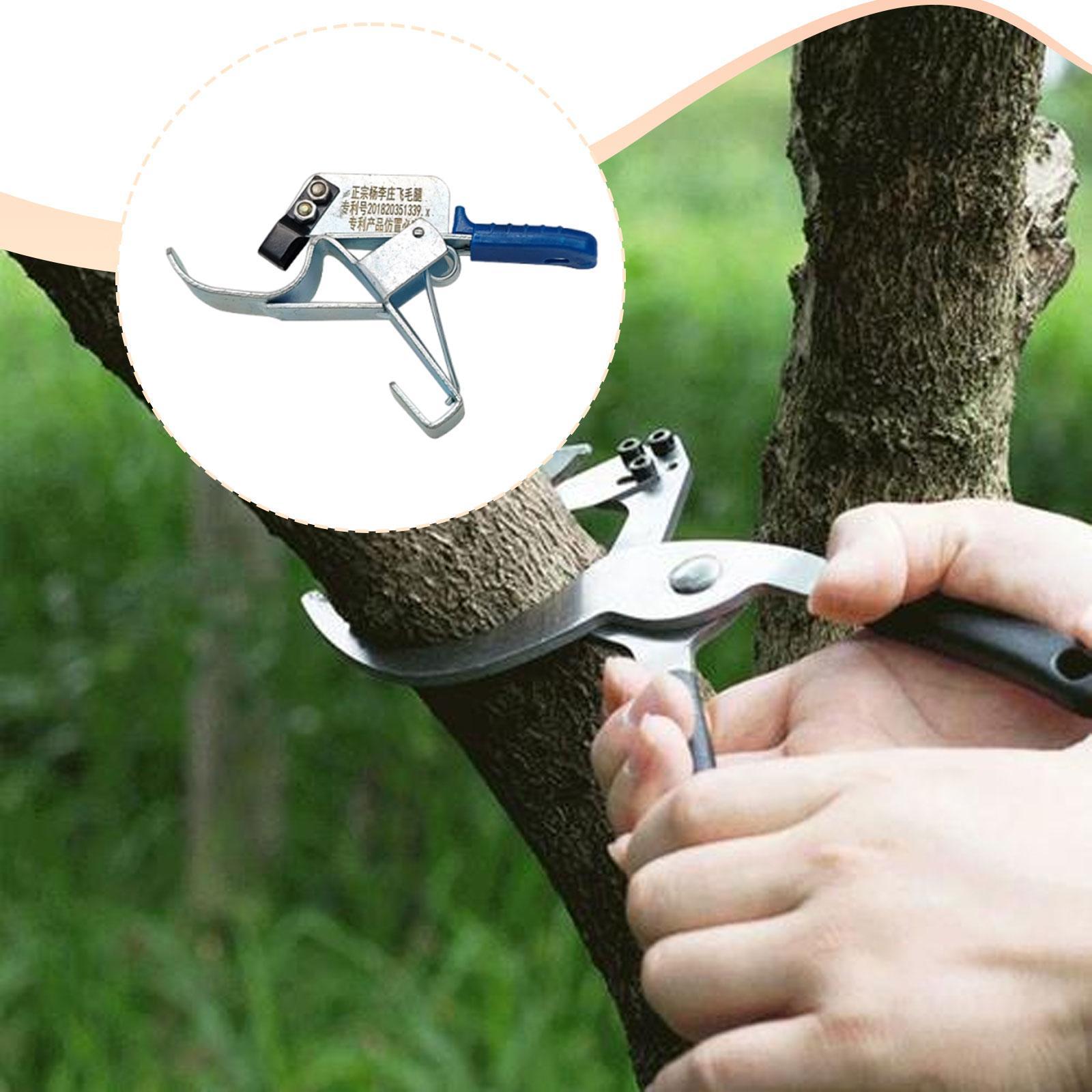 果樹の皮割りツール、必須で実用的、効率的で使いやすい、頑丈な - Gardening Tools Essential のレビューと価格