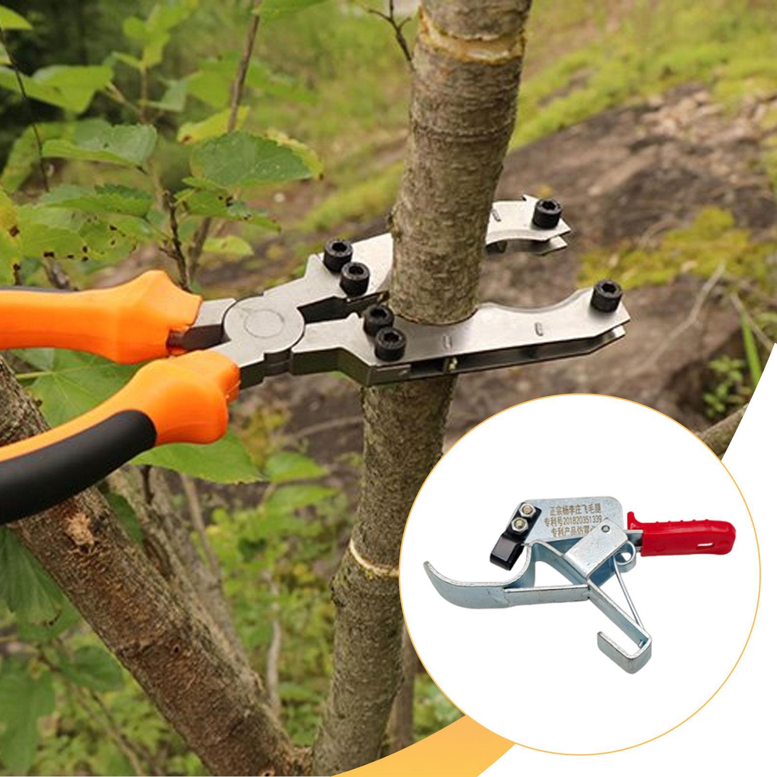 果樹の皮割りツール、必須で実用的、効率的で使いやすい、頑丈な - Gardening Tools Essential のレビューと価格