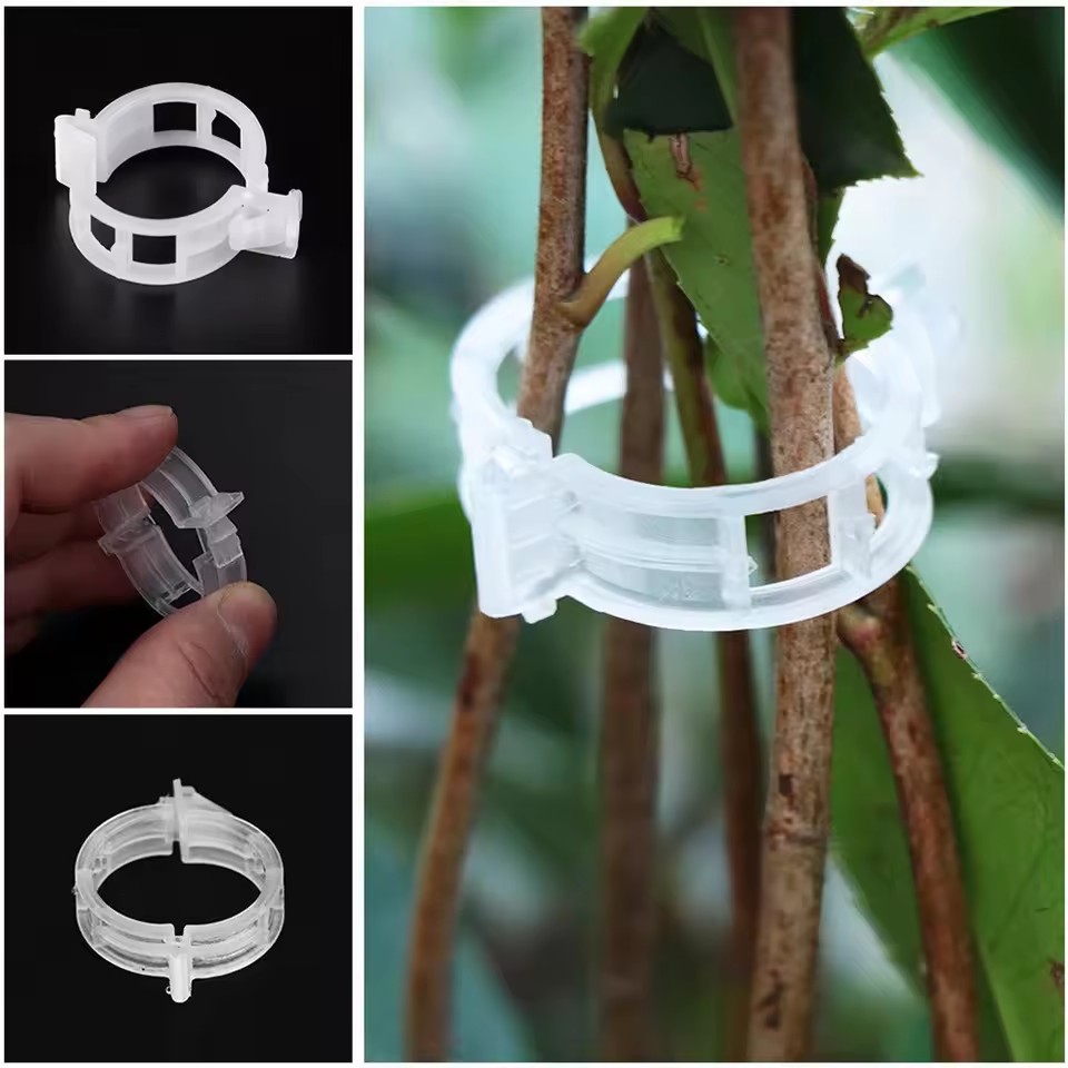 20個入り植物サポートクリップ、スナップオン式再利用可能なガ - Gardening Tools Vegetables のレビューと価格