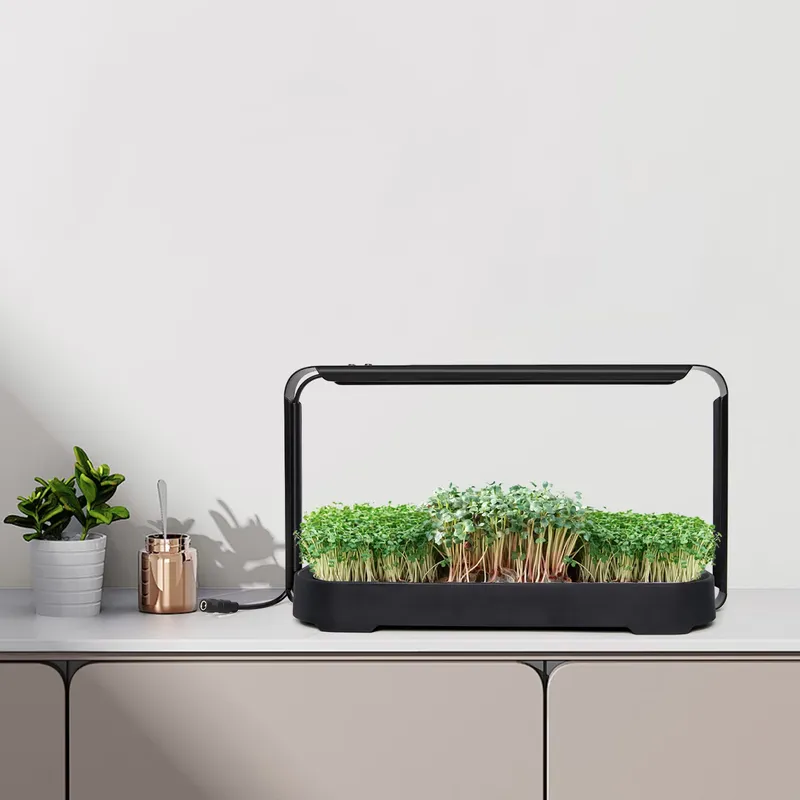 マイクログリーン自動給水水耕栽培プランター育成システム（育成 - Self-Watering Planter のレビューと価格