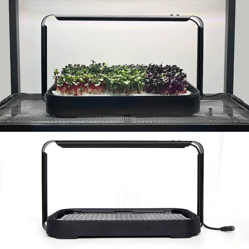 マイクログリーン自動給水水耕栽培プランター育成システム（育成 - Self-Watering Planter のレビューと価格