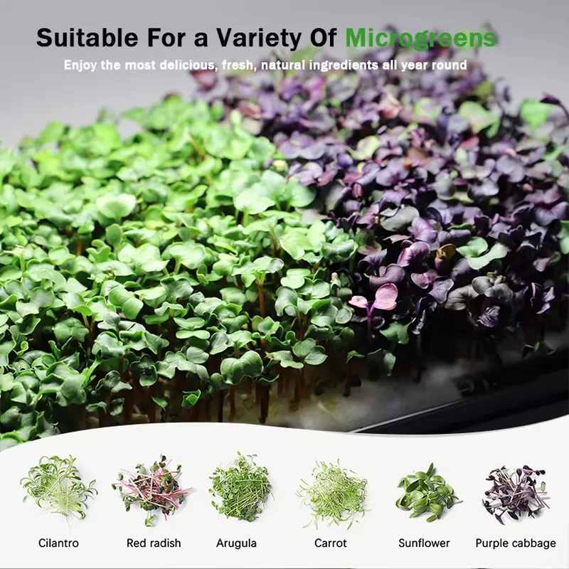 マイクログリーン自動給水水耕栽培プランター育成システム（育成 - Self-Watering Planter のレビューと価格