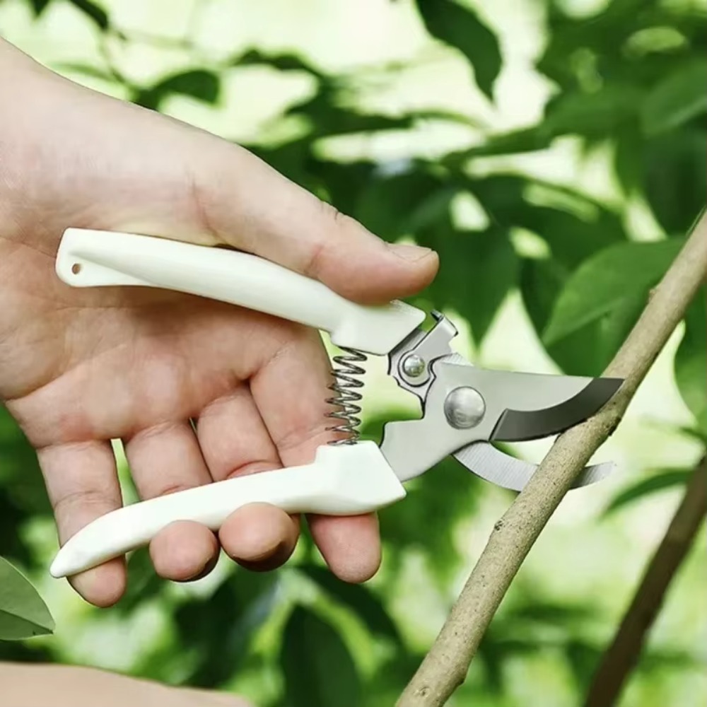 プロ仕様の剪定ナイフ、手動工具、花や果樹の剪定に最適な園芸用 - Gardening Tools Essential のレビューと価格