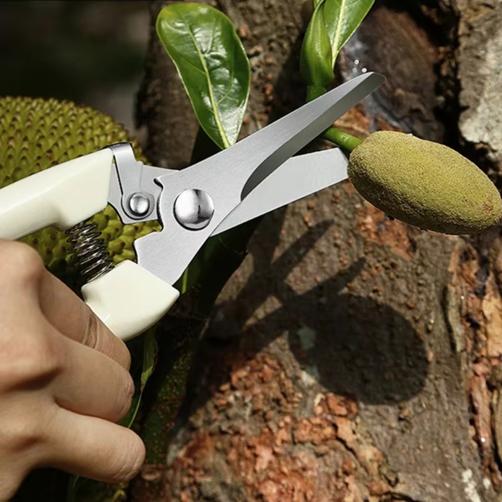 プロ仕様の剪定ナイフ、手動工具、花や果樹の剪定に最適な園芸用 - Gardening Tools Essential のレビューと価格
