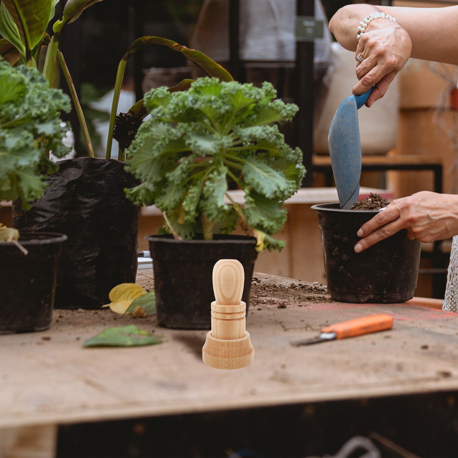 1セットの木製新聞紙プランター作成ツール。園芸、育苗、種まき - Gardening Tools Essential のレビューと価格