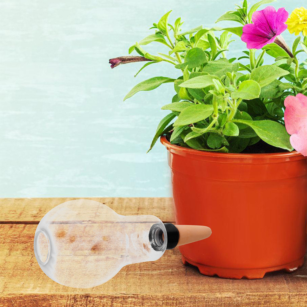 3個入り 自動給水プランター（テラコッタ製球体型）、室内植物 - Automatic Plant Waterer のレビューと価格
